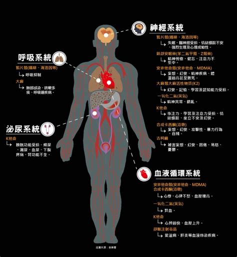 抽煙對身體的危害|衞生防護中心